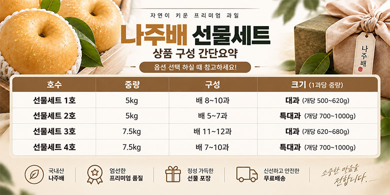 꿀팜즈 나주배 세트, 5kg, 8-10과, 1박스 상세 이미지 1