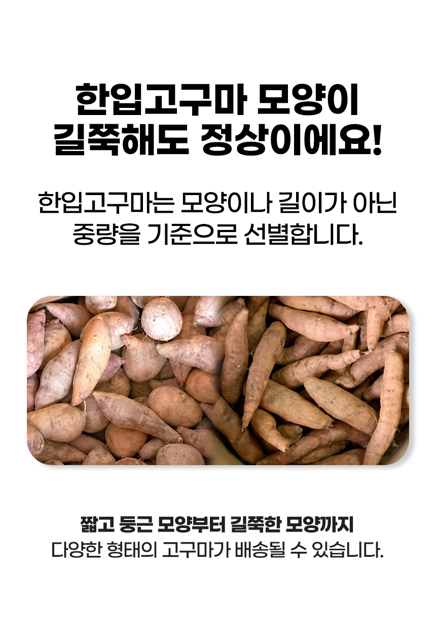 해남 꿀고구마 베니하루카, 한입, 3kg, 1개 상세정보 1