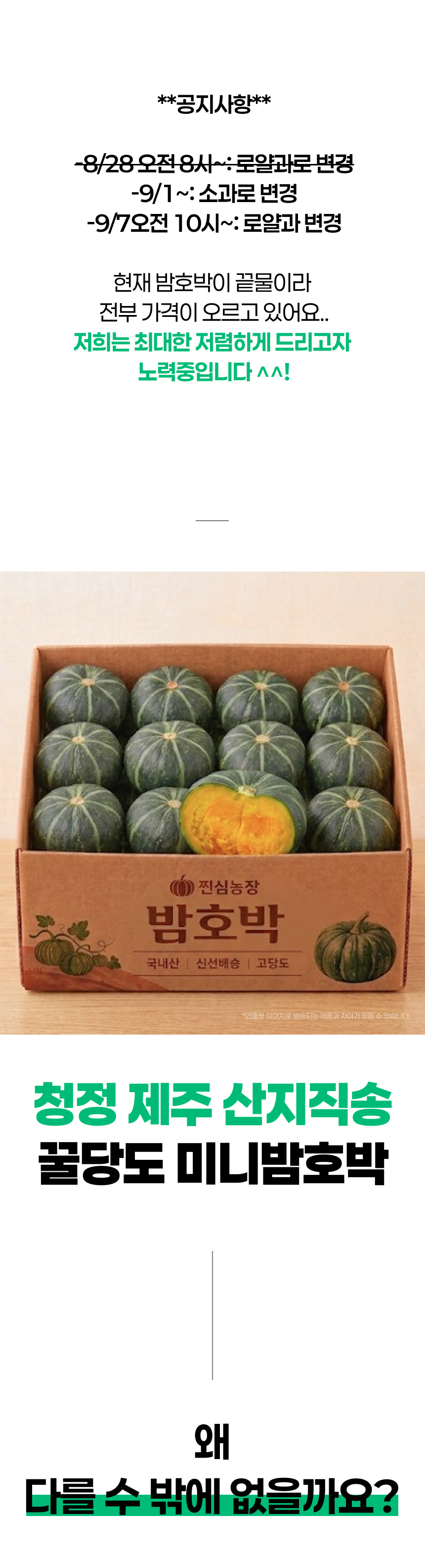 제주 꿀 미니밤호박 보우짱, 특품, 5kg, 1박스 상세정보 3