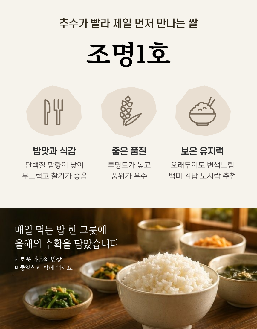 미풍라이스센터 미풍양식 2026년 햅쌀, 조명1호, 단일품종, 상등급, 10kg, 1개 상세 이미지 3