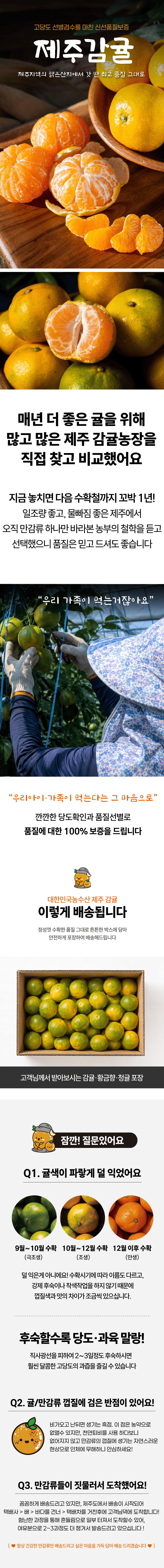 계약재배된 제주직송 제주 노지감귤, 가정용, 2kg, 1박스 상세 이미지 2
