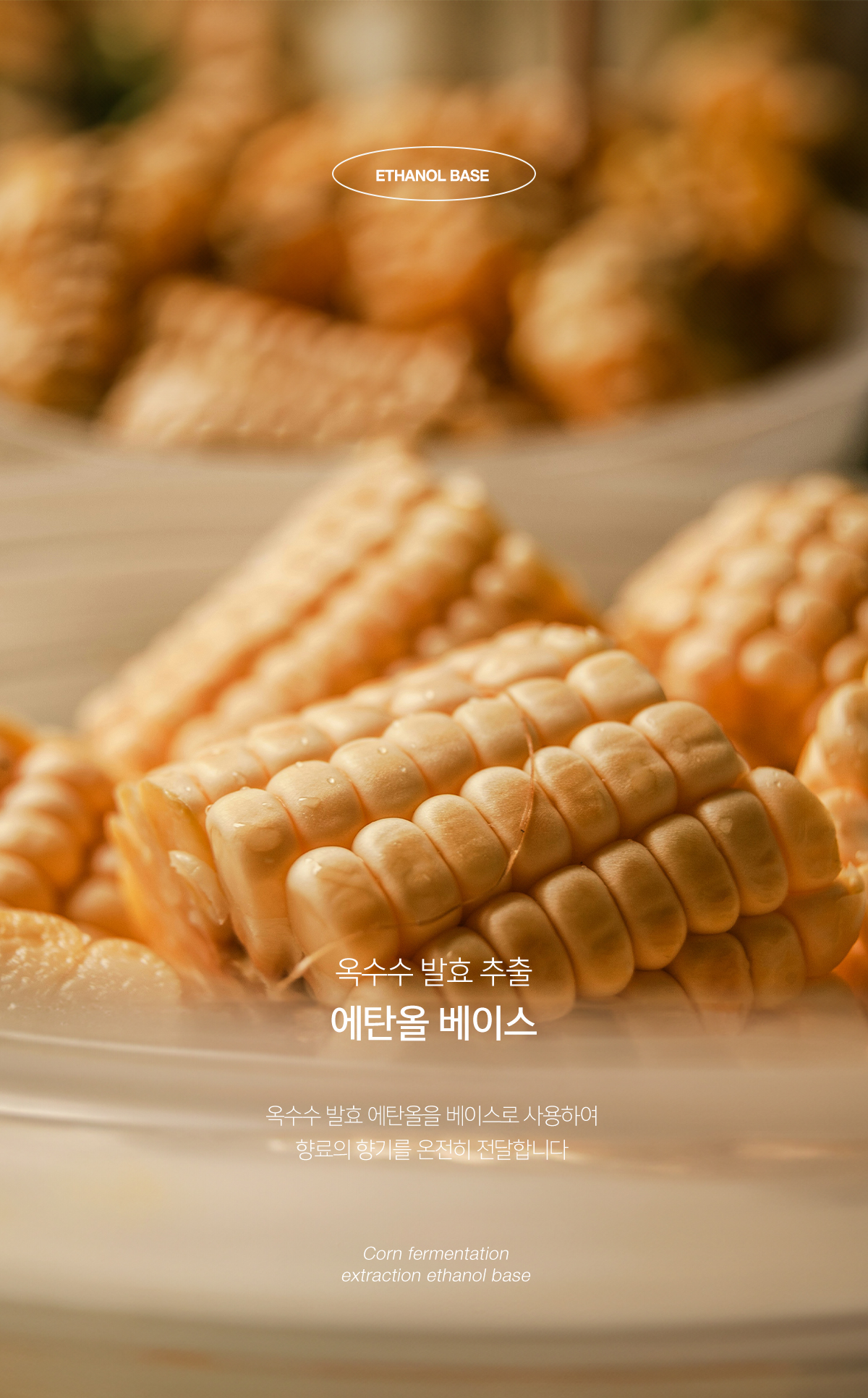 살림백서 오브제 디퓨저, 푸르티자스민, 210ml, 2개