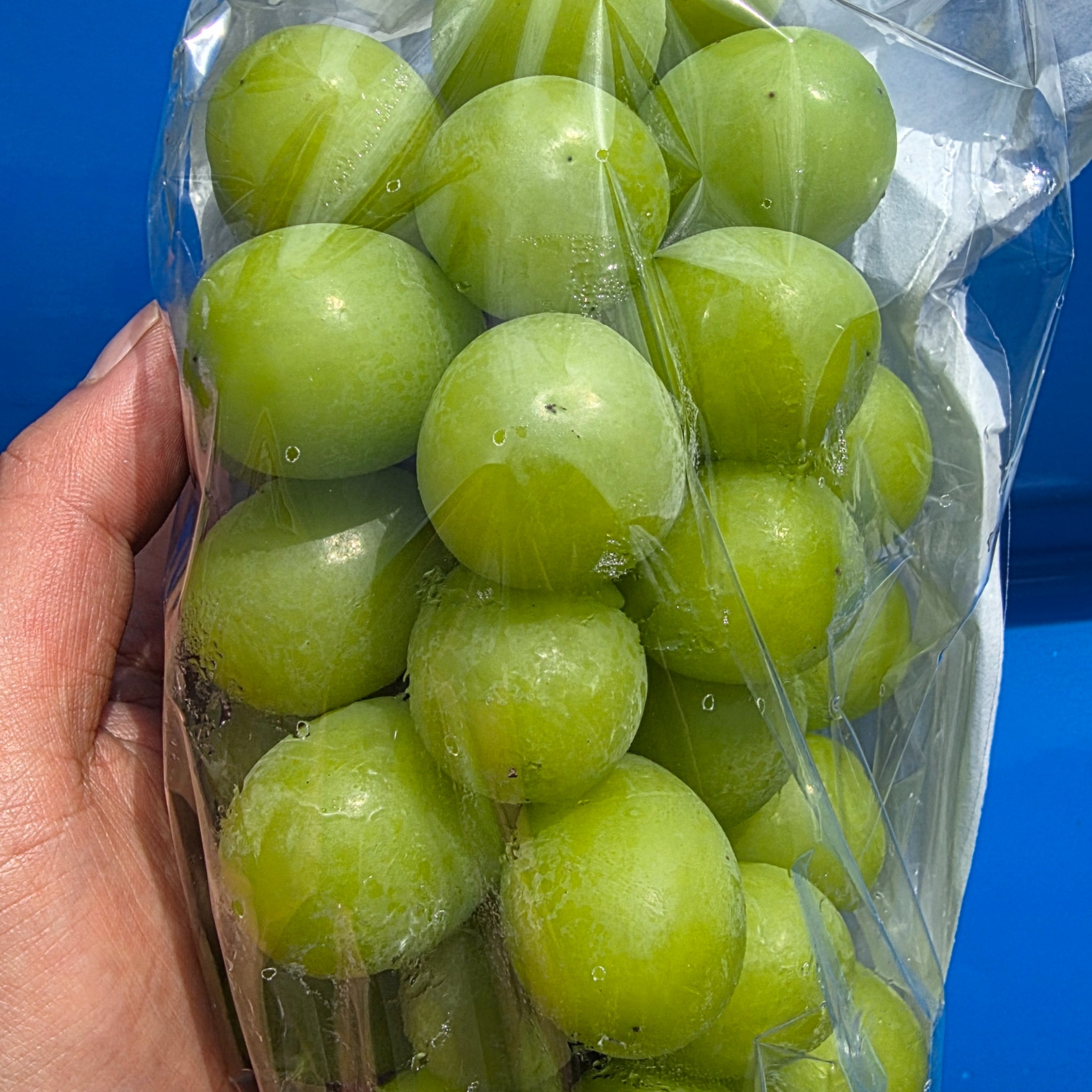 샤인머스켓 가정용, 4-6송이, 2kg, 1개 상품 이미지 3