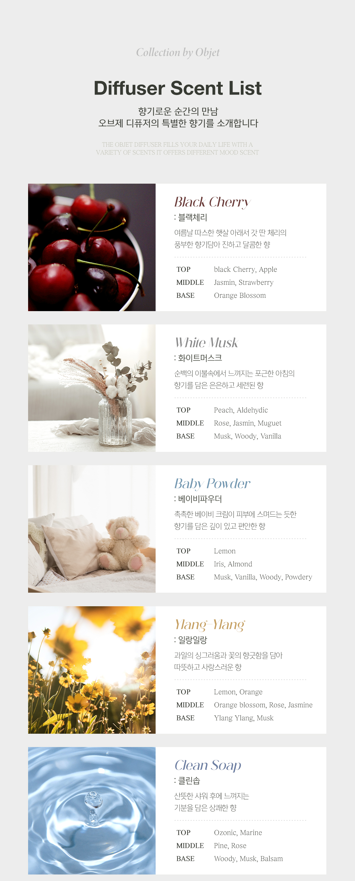 살림백서 오브제 디퓨저, 푸르티자스민, 210ml, 2개