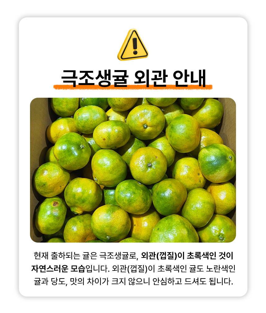 제주 극조생귤, 대과, 5kg, 1개 상세 이미지 1