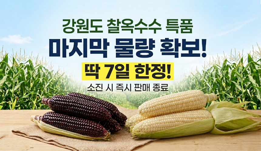 강원도 고성 흑찰옥수수, 30개 상세 이미지 1