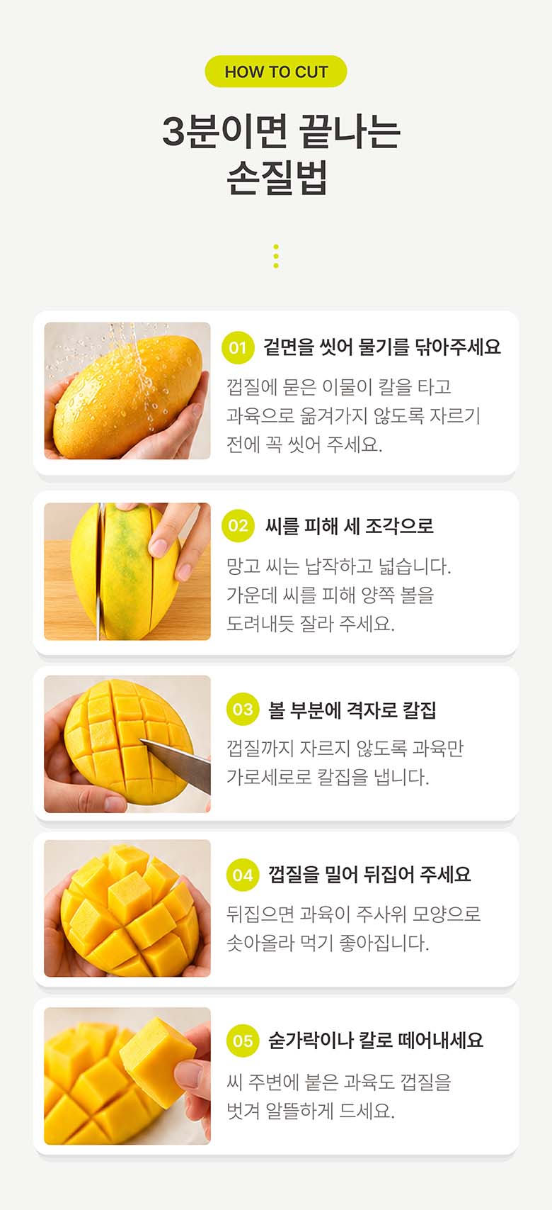 베트남 직수입 골드 망고, 2-3과, 1kg, 1박스 상세 이미지 5