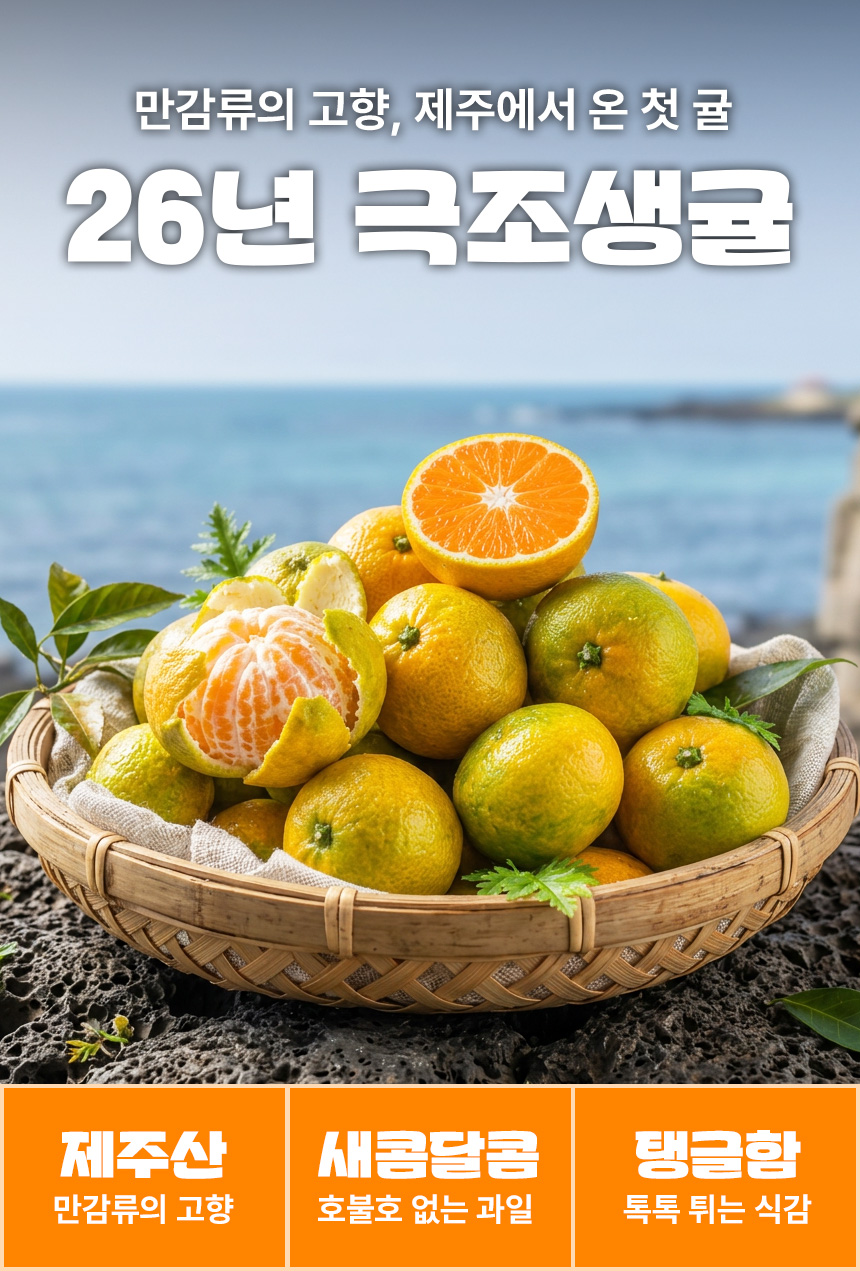 제주 극조생귤, 대과, 5kg, 1개 상세 이미지 2
