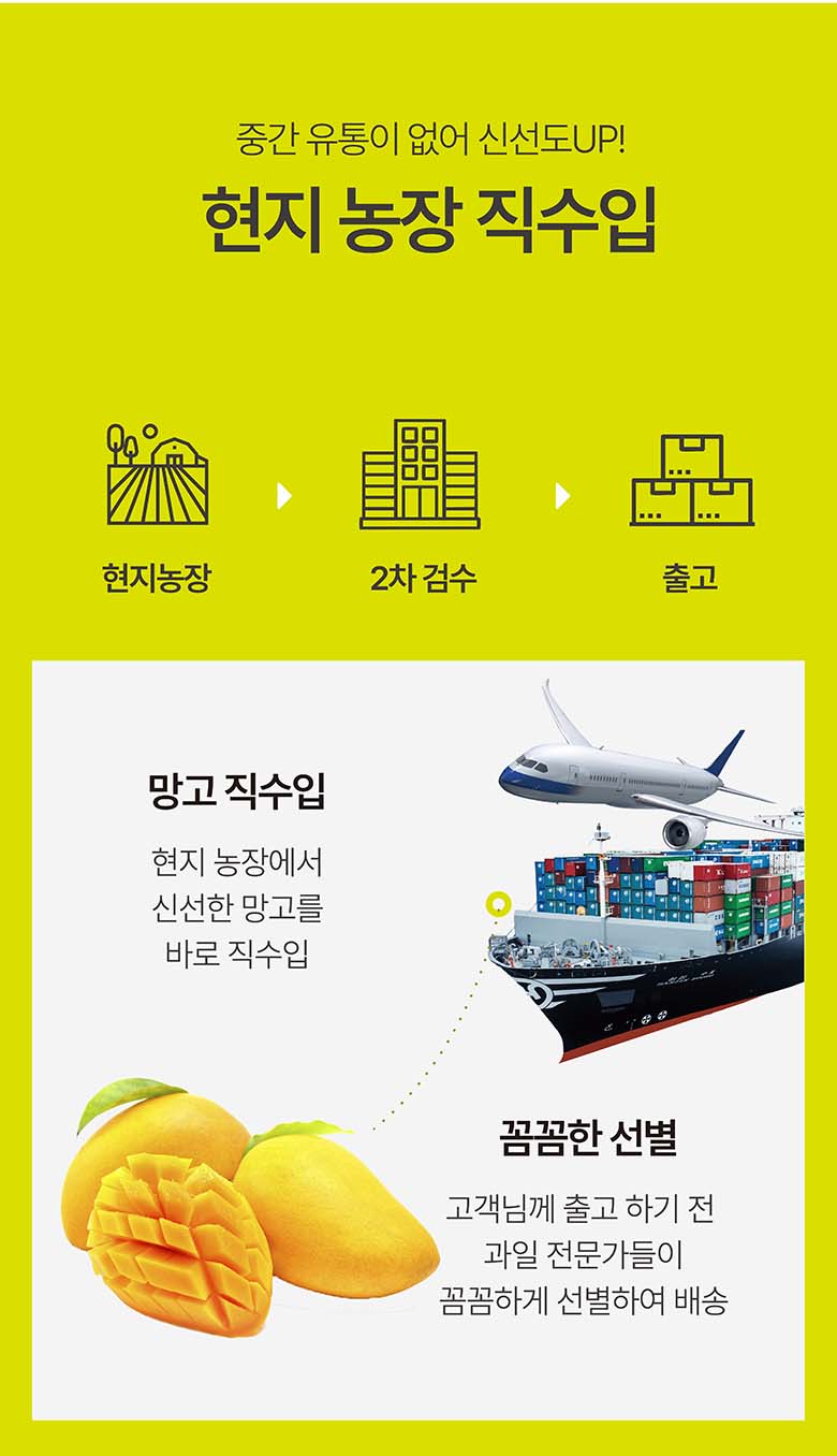베트남 직수입 골드 망고, 2-3과, 1kg, 1박스 상세 이미지 4