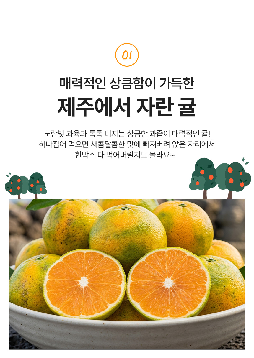 제주 극조생귤, 대과, 5kg, 1개 상세 이미지 4