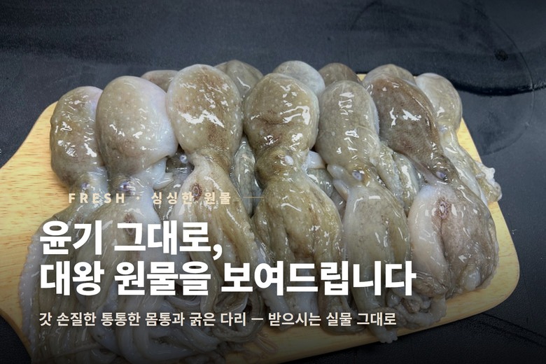 선동 활 쭈꾸미, 집밥 반찬으로 손질해두기 괜찮았어요 5