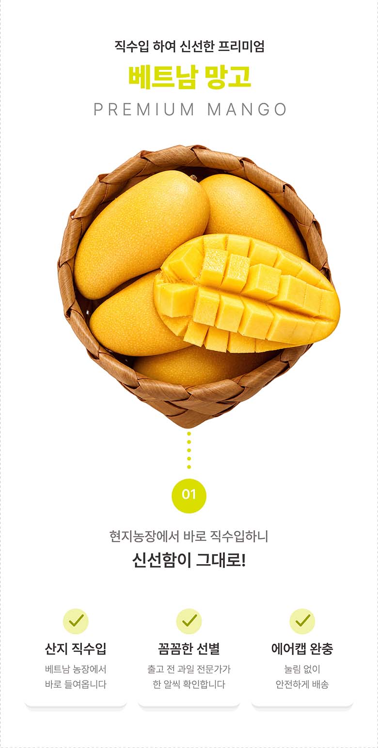 베트남 직수입 골드 망고, 2-3과, 1kg, 1박스 상세 이미지 1