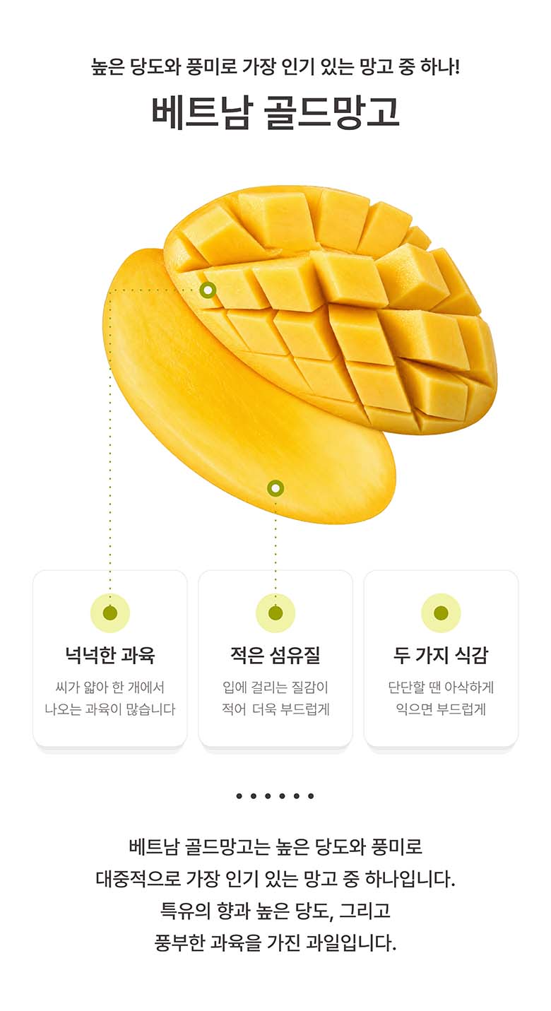베트남 직수입 골드 망고, 2-3과, 1kg, 1박스 상세 이미지 2