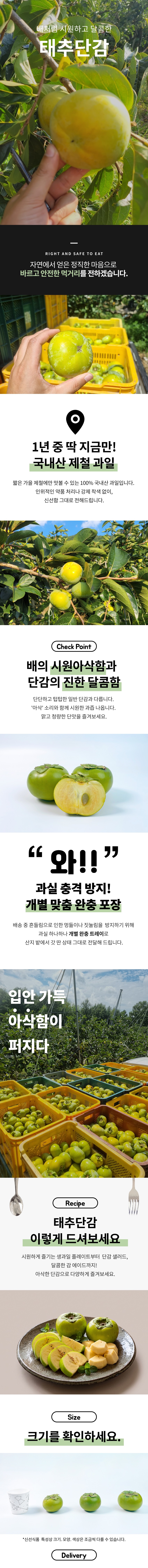 태추단감, 4.5kg, 1박스