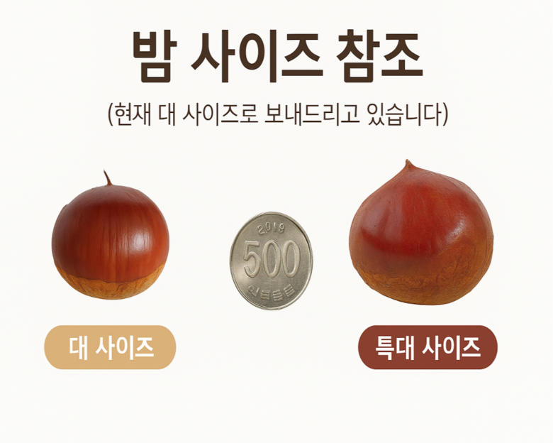 이모뜰 국내산 햇 알밤, 저처럼 보관법 몰라 버리지 마시고 딱 이것만 보세요 3