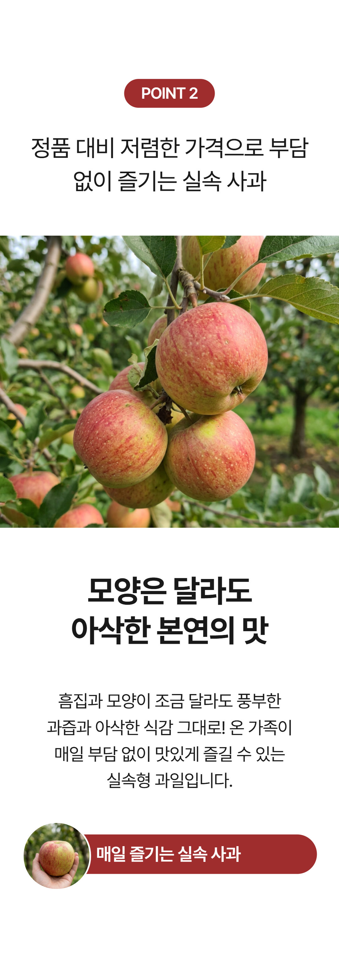 가정용 홍로사과, 10kg, 1박스