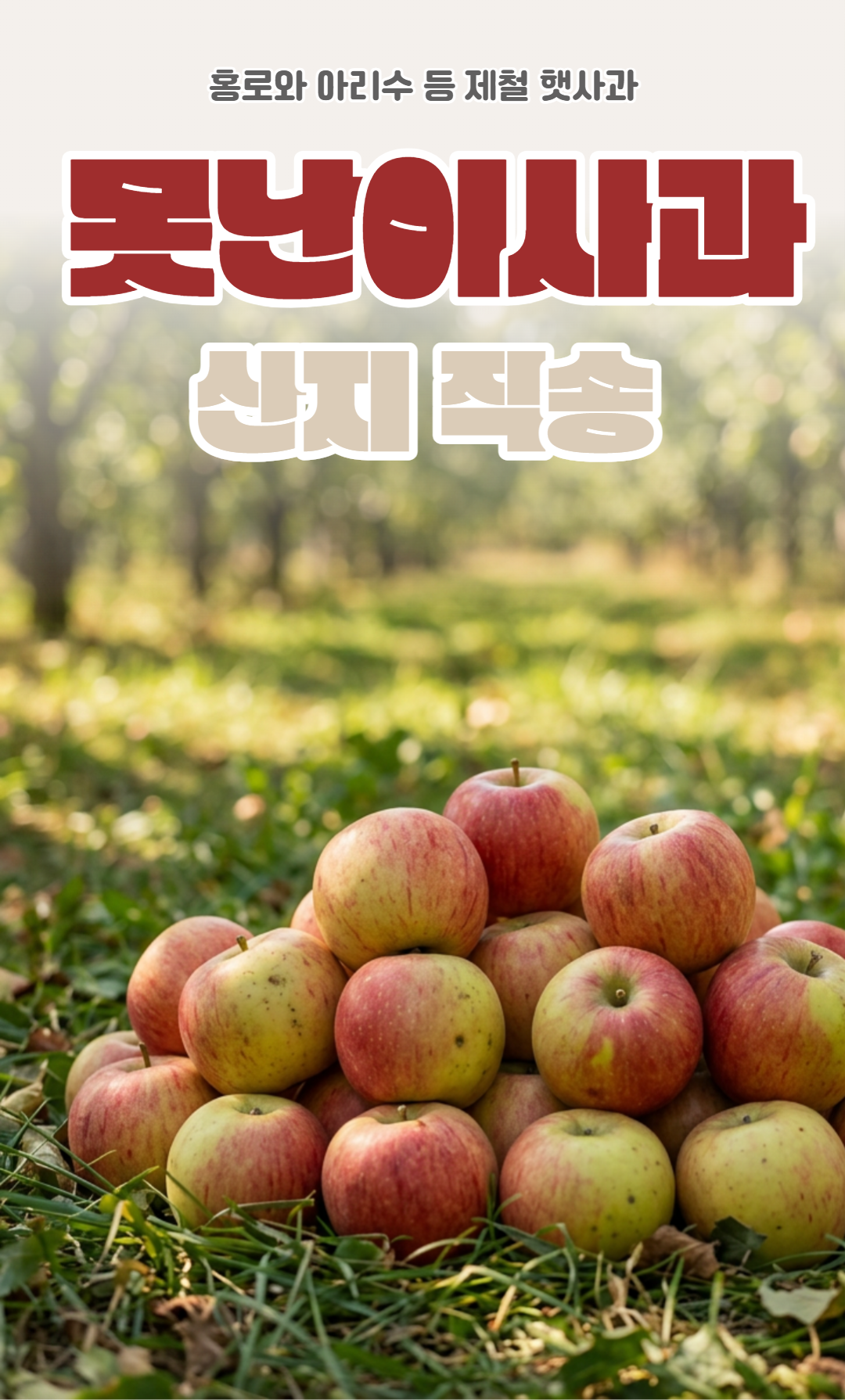 가정용 홍로사과, 10kg, 1박스