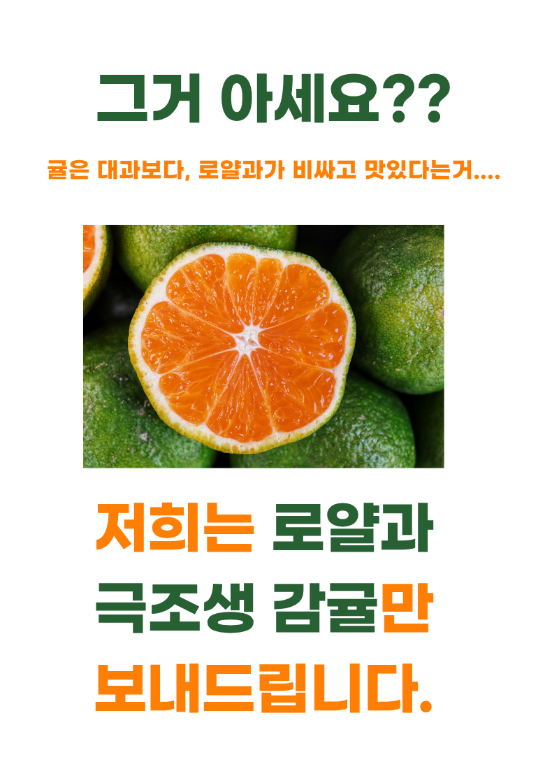 제주 극조생 감귤, 로얄과, 5kg, 1박스 상세 이미지 5
