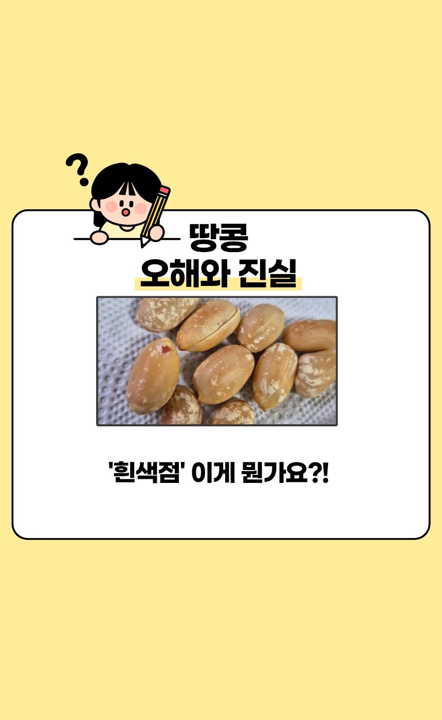 이진물산 볶은 땅콩, 24/28, 1kg, 1봉 상세정보 3
