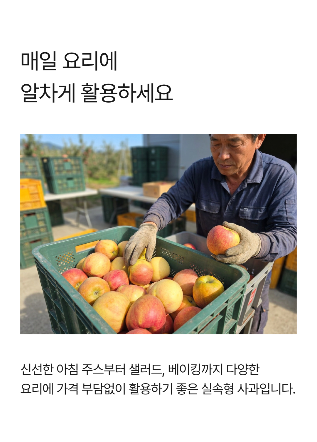 가정용 홍로사과, 10kg, 1박스