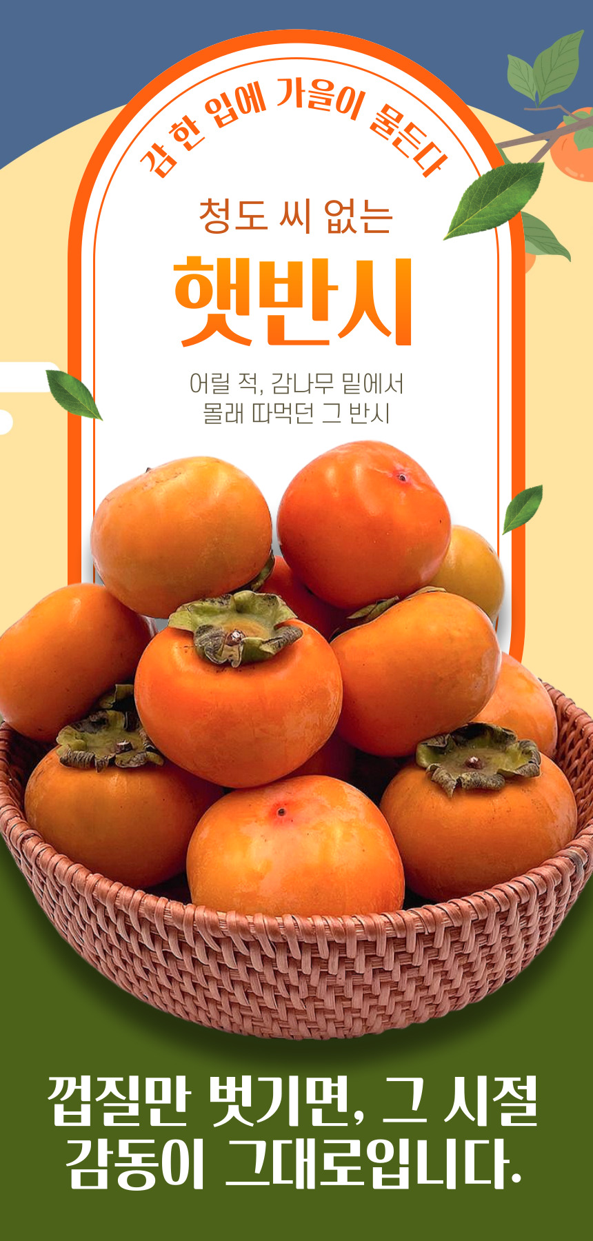 청도 씨없는 반시, 홍시용, 연화제 포함상품, 2.5kg내외, 30과이상, 1박스 상세 이미지 1