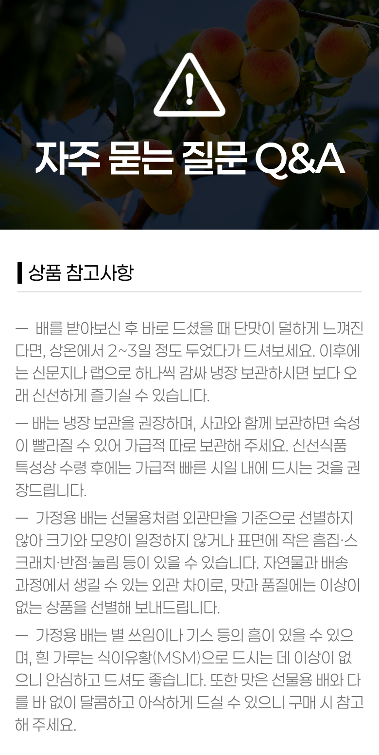 햇 나주배, 5kg, 1박스 상세 이미지 5