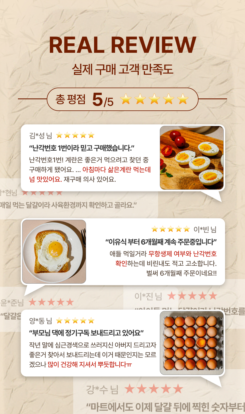 백년본가 국내산 무항생제 난각번호 1번 유정란, 대란, 40구, 1개 상세 이미지 5