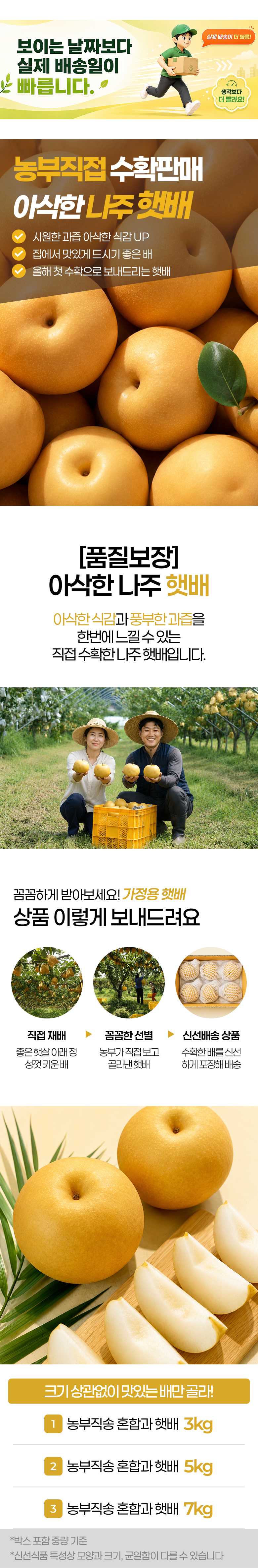 햇 나주배, 5kg, 1박스 상세 이미지 1