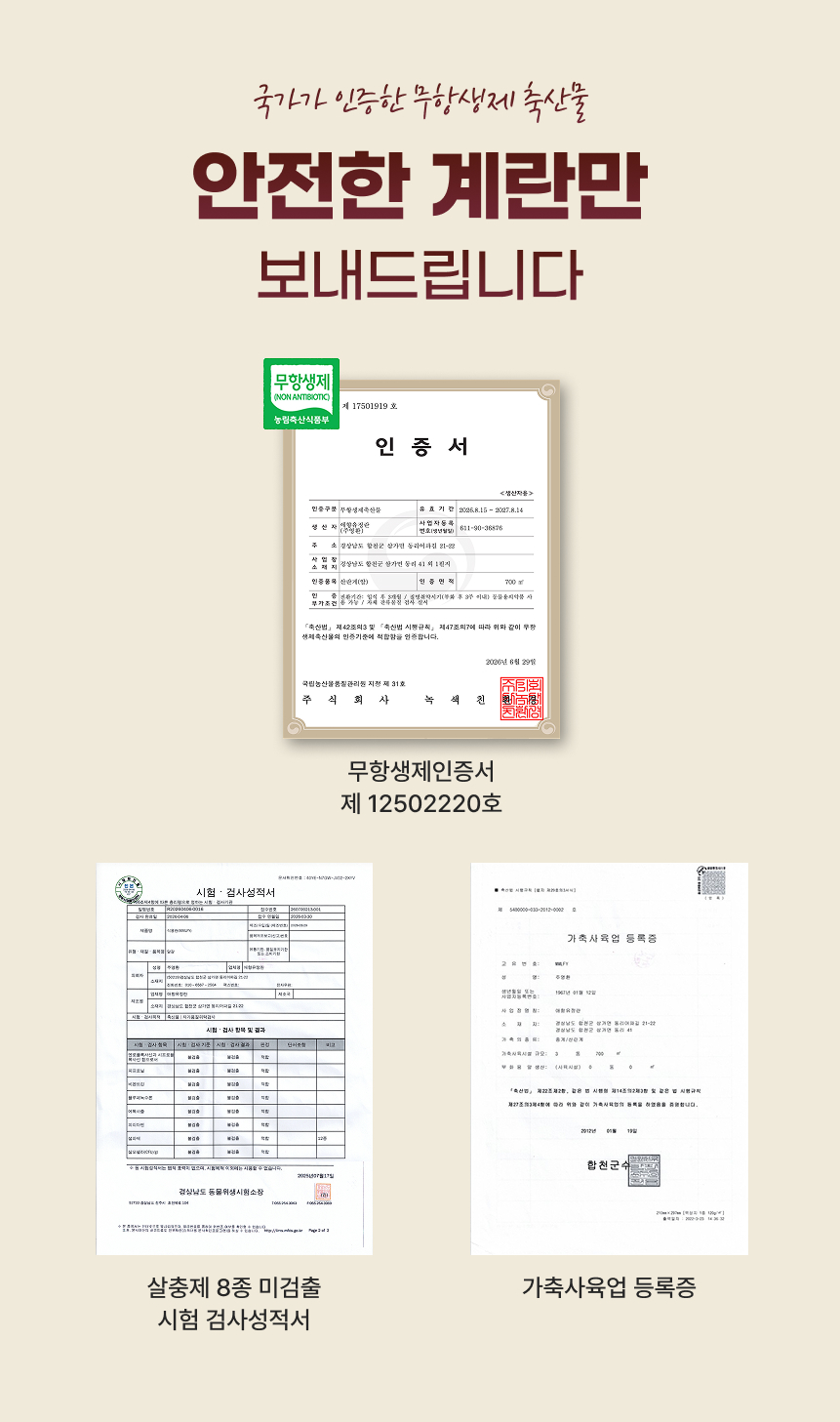 백년본가 국내산 무항생제 난각번호 1번 유정란, 대란, 40구, 1개 상세 이미지 6