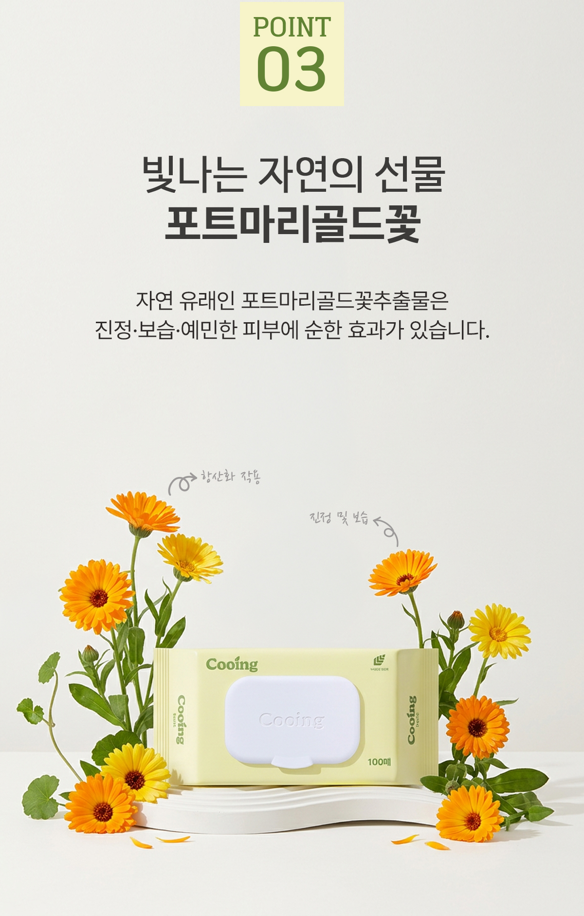 쿠잉 베이직 물티슈, 캡형, 100매, 10팩 상세정보 10