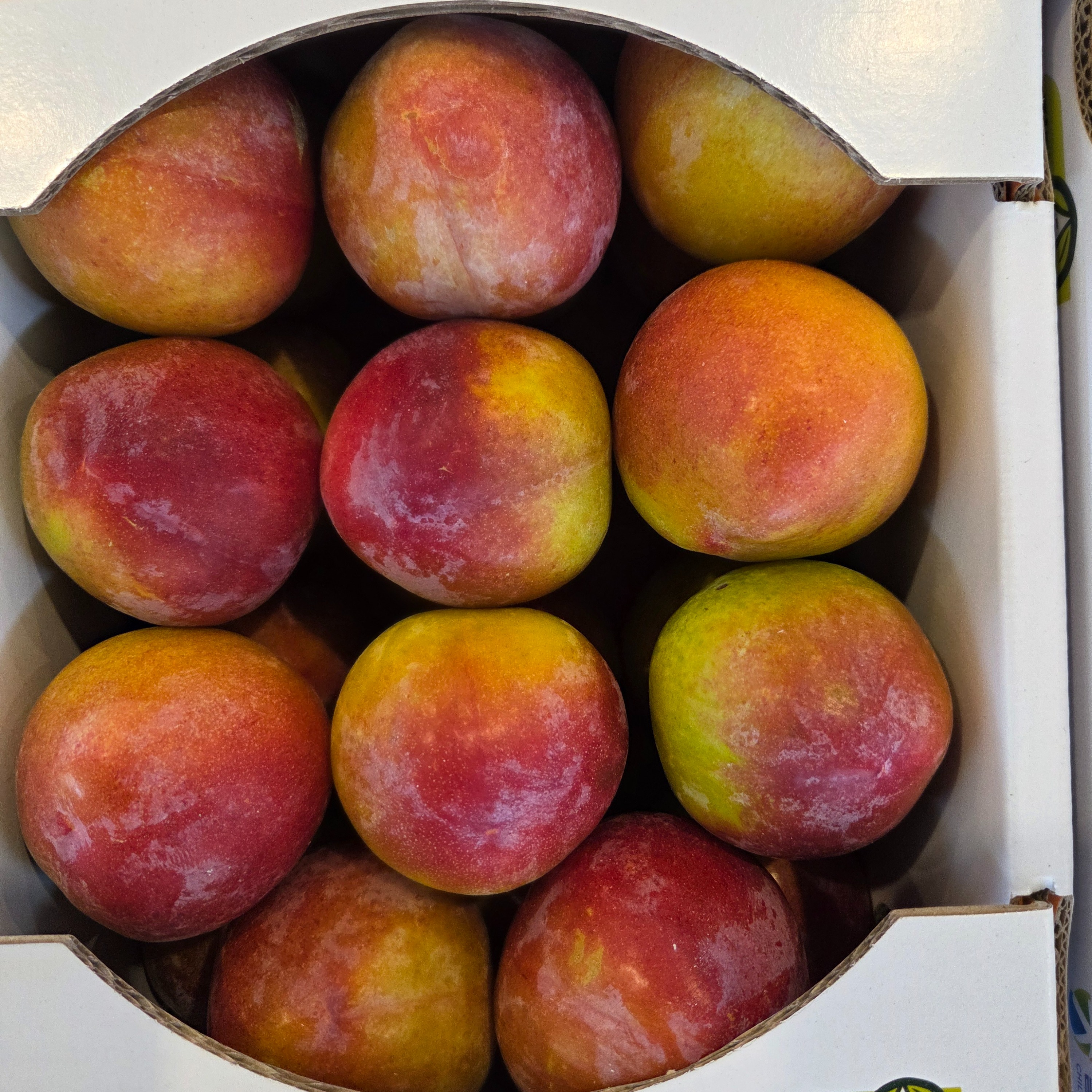 국내산 달콤 큼직 왕특 추희자두, 90g, 1kg, 1박스 상품 이미지 2