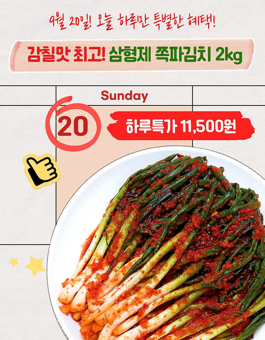 삼형제 쪽파 파김치 2kg 기준 용량 대비 가치 분석과 선택 기준 5