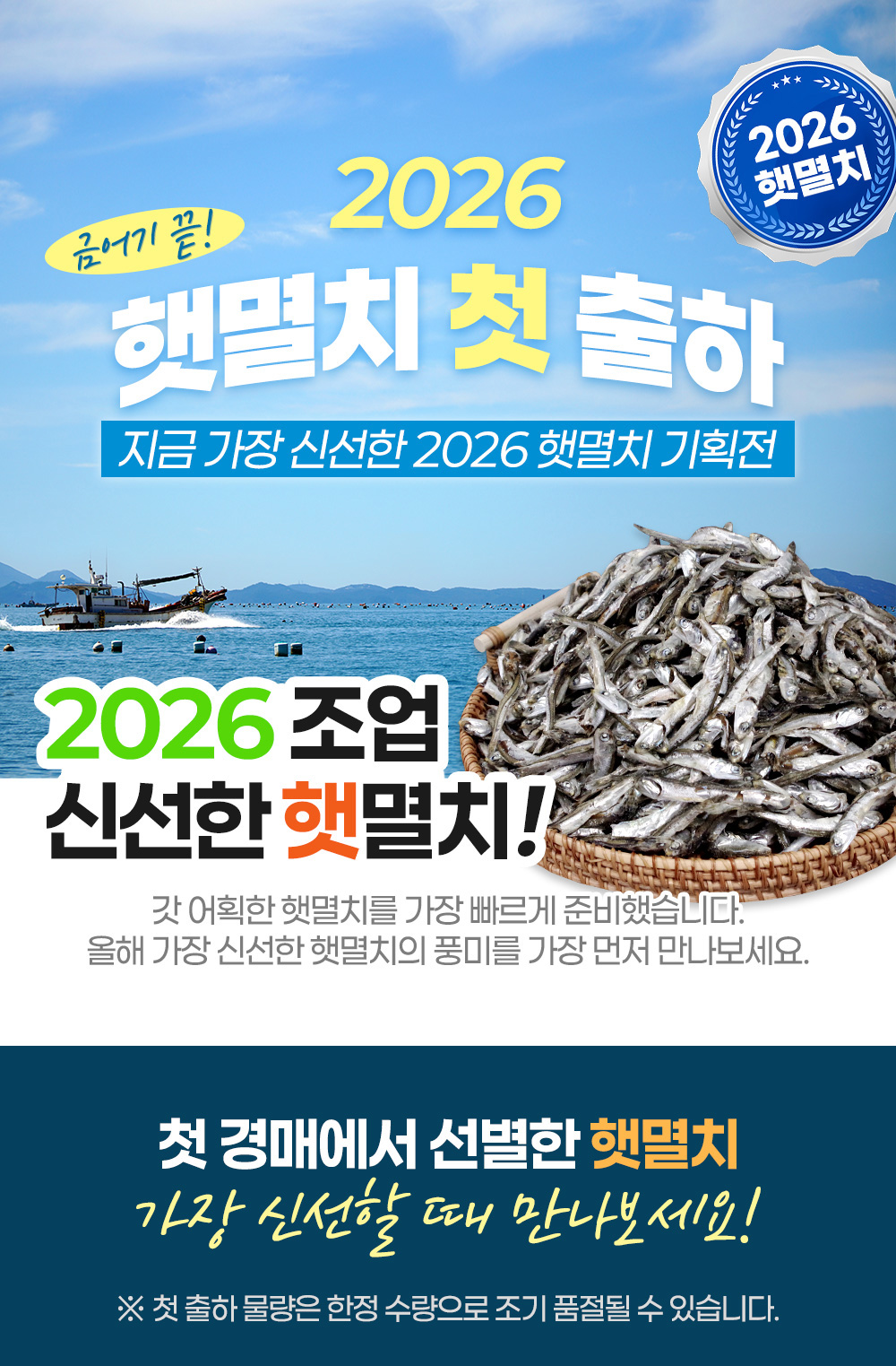 국내산 햇 고바멸치, 1.5kg, 1개 상세정보 2