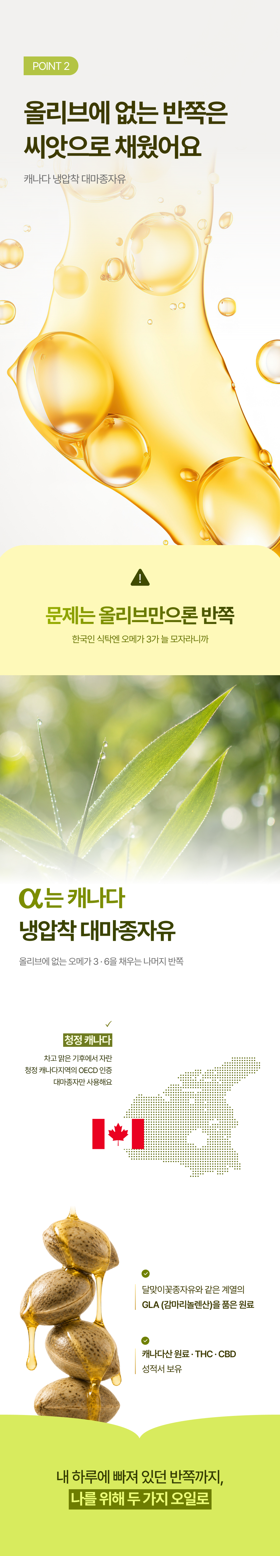 뉴트리엘 이너포뮬러 올리브 알파 16, 60정, 1개 상세정보 36