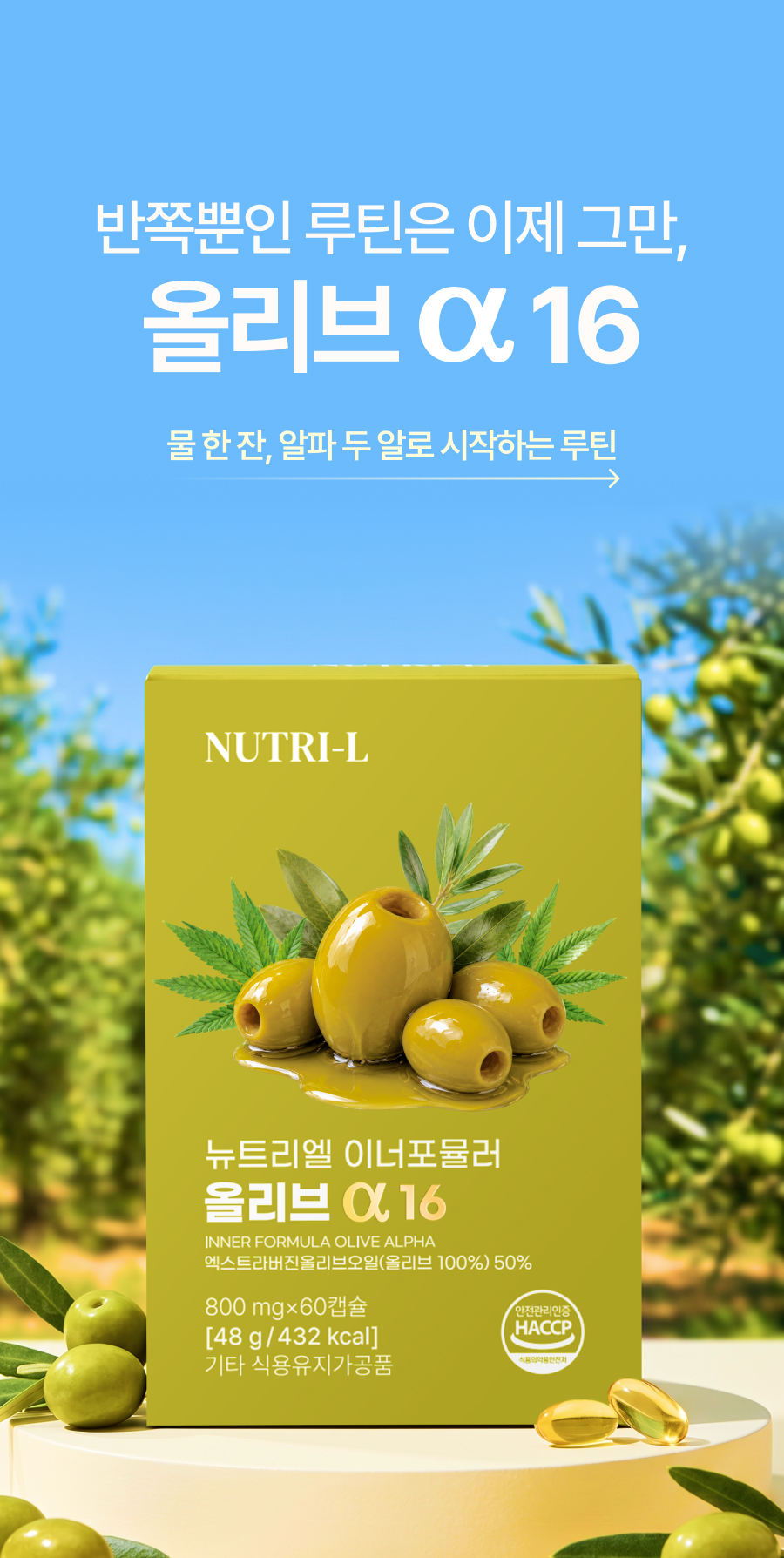 뉴트리엘 이너포뮬러 올리브 알파 16, 60정, 1개 상세정보 11