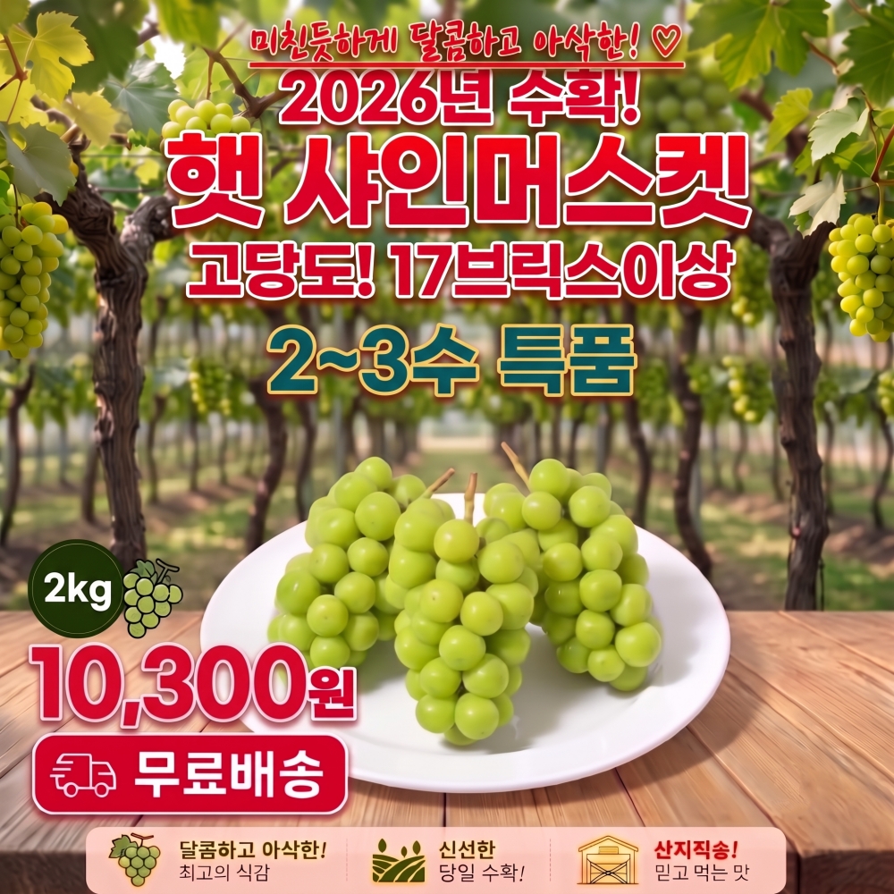 봉이네 샤인머스켓, 특품, 당도선별, 17브릭스 이상, 2kg, 1박스 상세 이미지 1