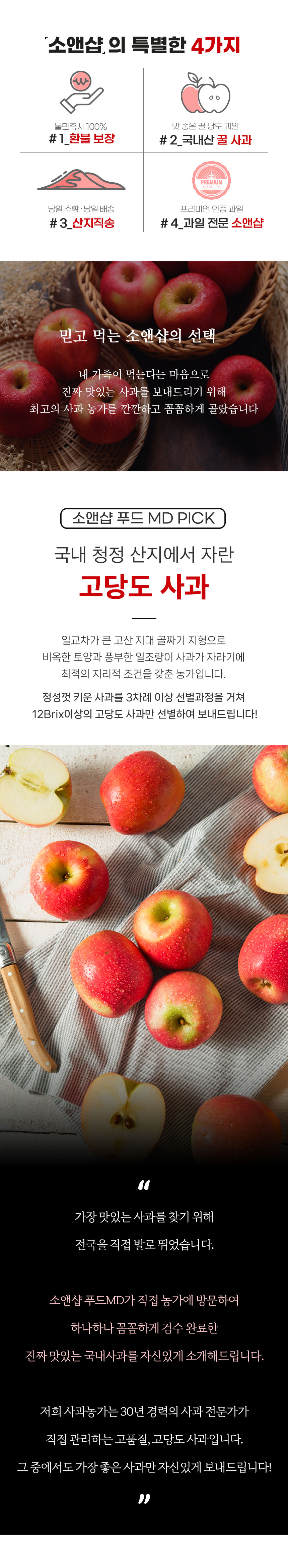 햇 홍로사과, 5kg, 1개 상세 이미지 4