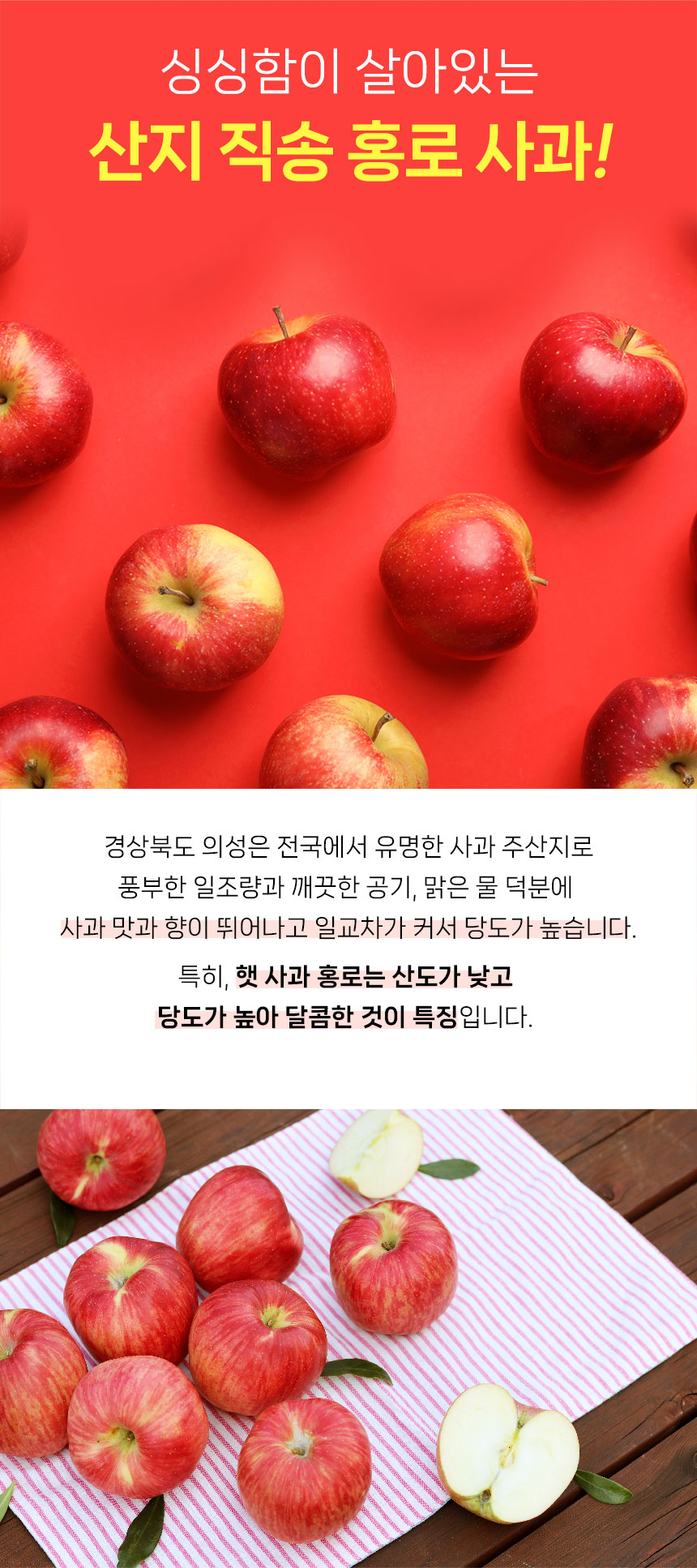 햇 홍로사과, 5kg, 1개 상세 이미지 3