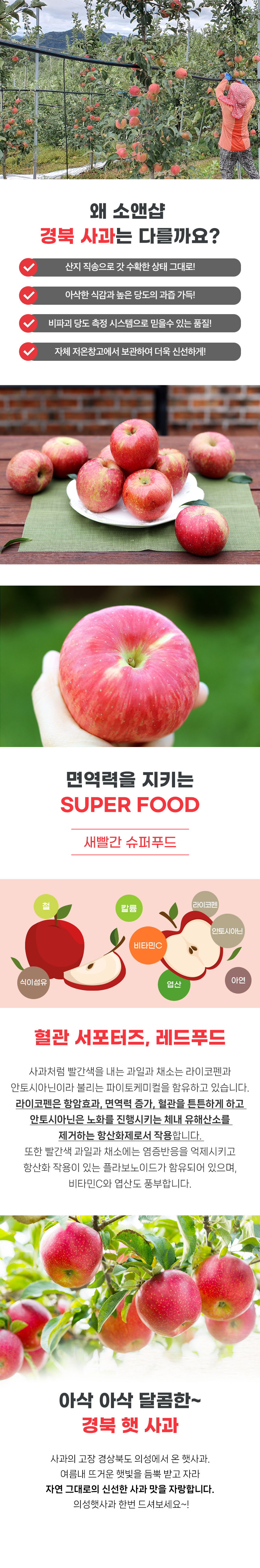 햇 홍로사과, 5kg, 1개 상세 이미지 5