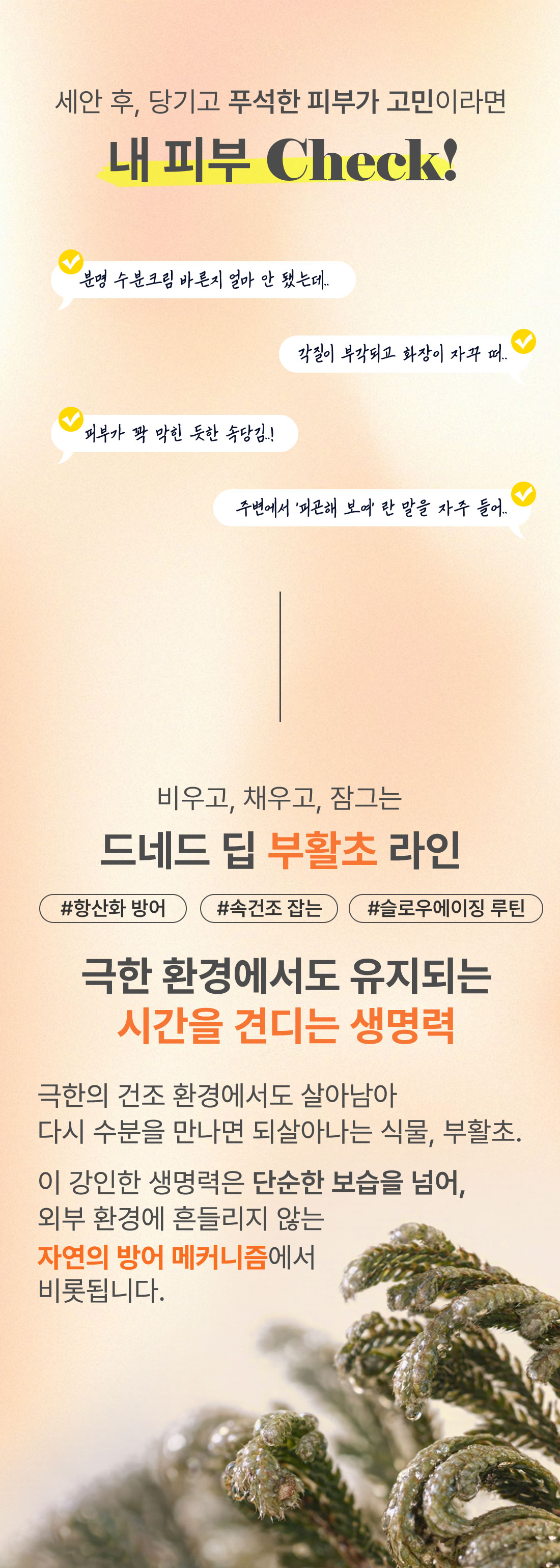 드네드 딥 코어 밸런스 토너, 200ml, 1개 상세 이미지 4