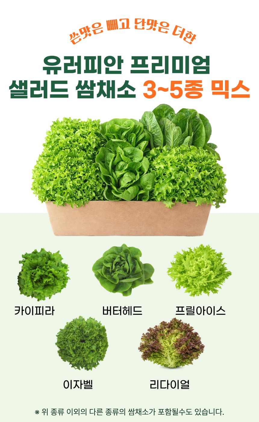 유러피안 프리미엄 샐러드 쌈채소, 3-5종 랜덤 혼합, 1kg, 1박스 상세 이미지 3
