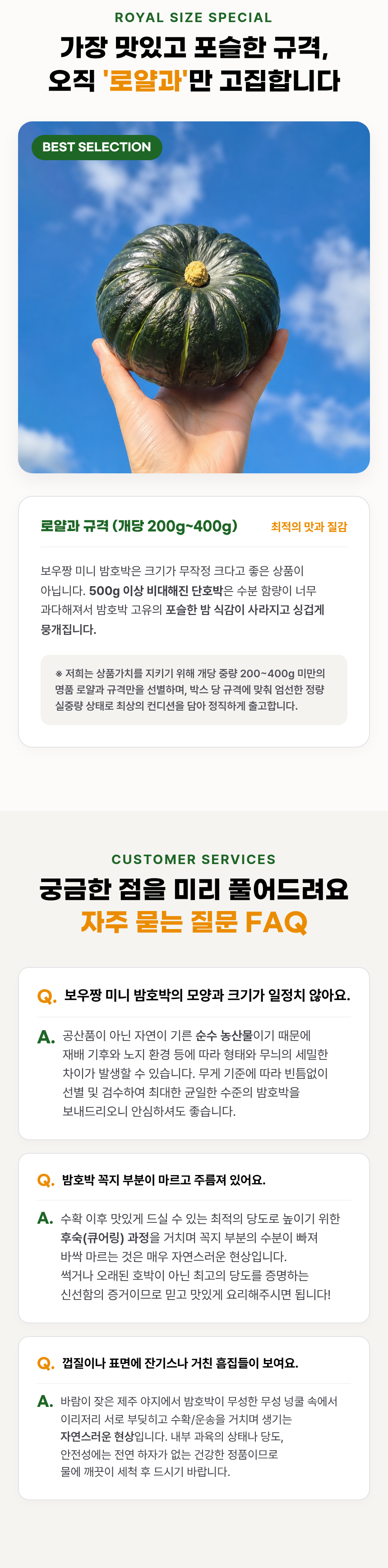 제주 특품 미니밤호박 보우짱, 로얄과, 3kg, 1박스 상세 이미지 3