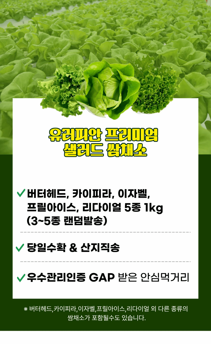 유러피안 프리미엄 샐러드 쌈채소, 3-5종 랜덤 혼합, 1kg, 1박스 상세 이미지 2