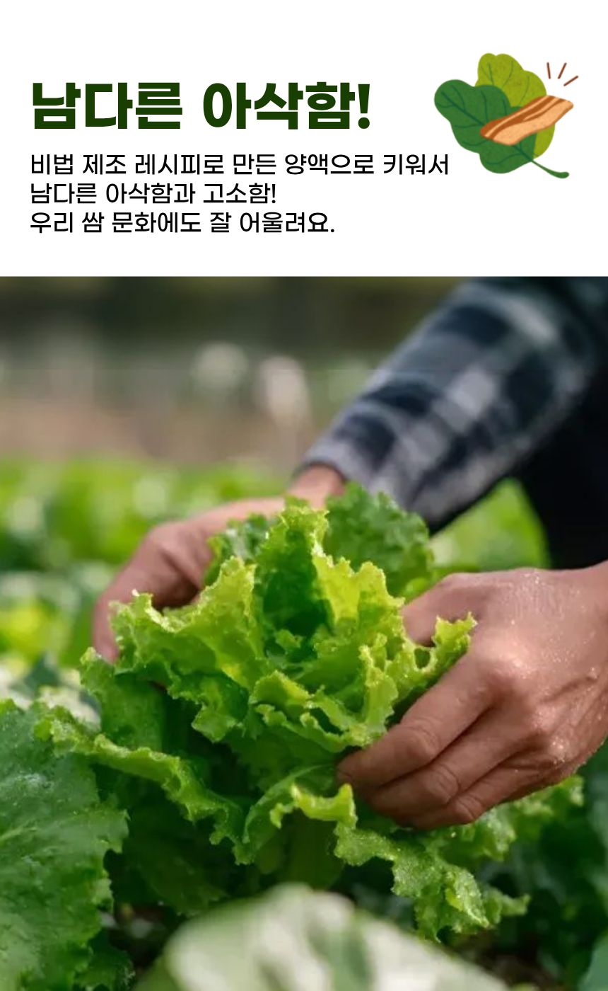 유러피안 프리미엄 샐러드 쌈채소, 3-5종 랜덤 혼합, 1kg, 1박스 상세 이미지 4