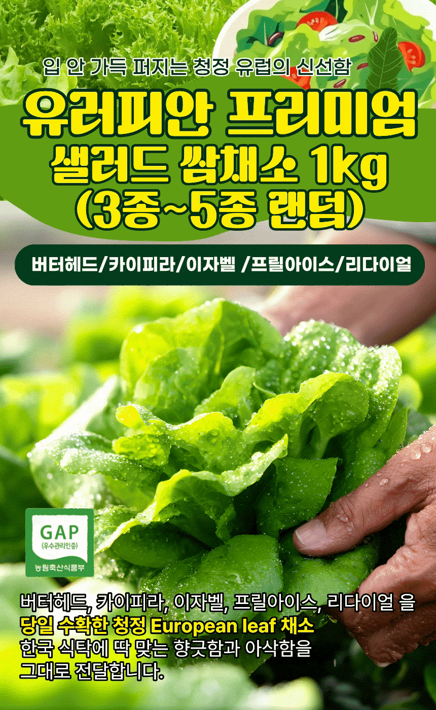 유러피안 프리미엄 샐러드 쌈채소, 3-5종 랜덤 혼합, 1kg, 1박스 상세 이미지 1