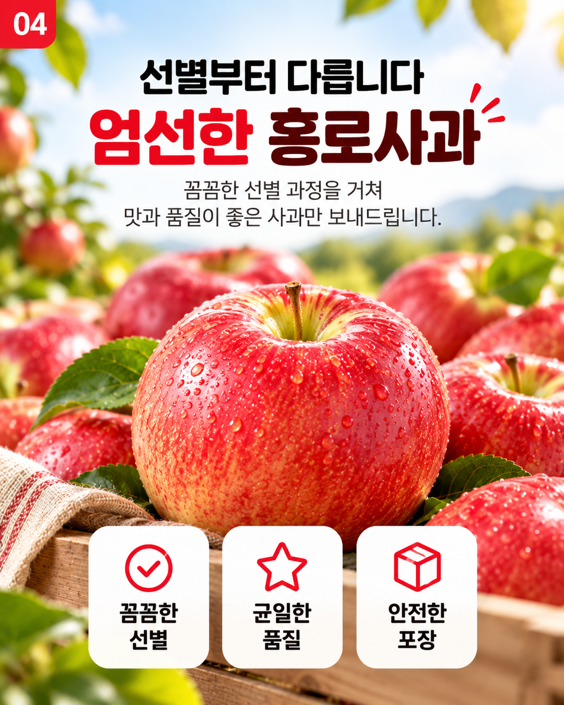 경북 햇 홍로사과 소과 2kg 한 박스, 처음 사보는 분을 위해 꼼꼼하게 정리해 드려요 5