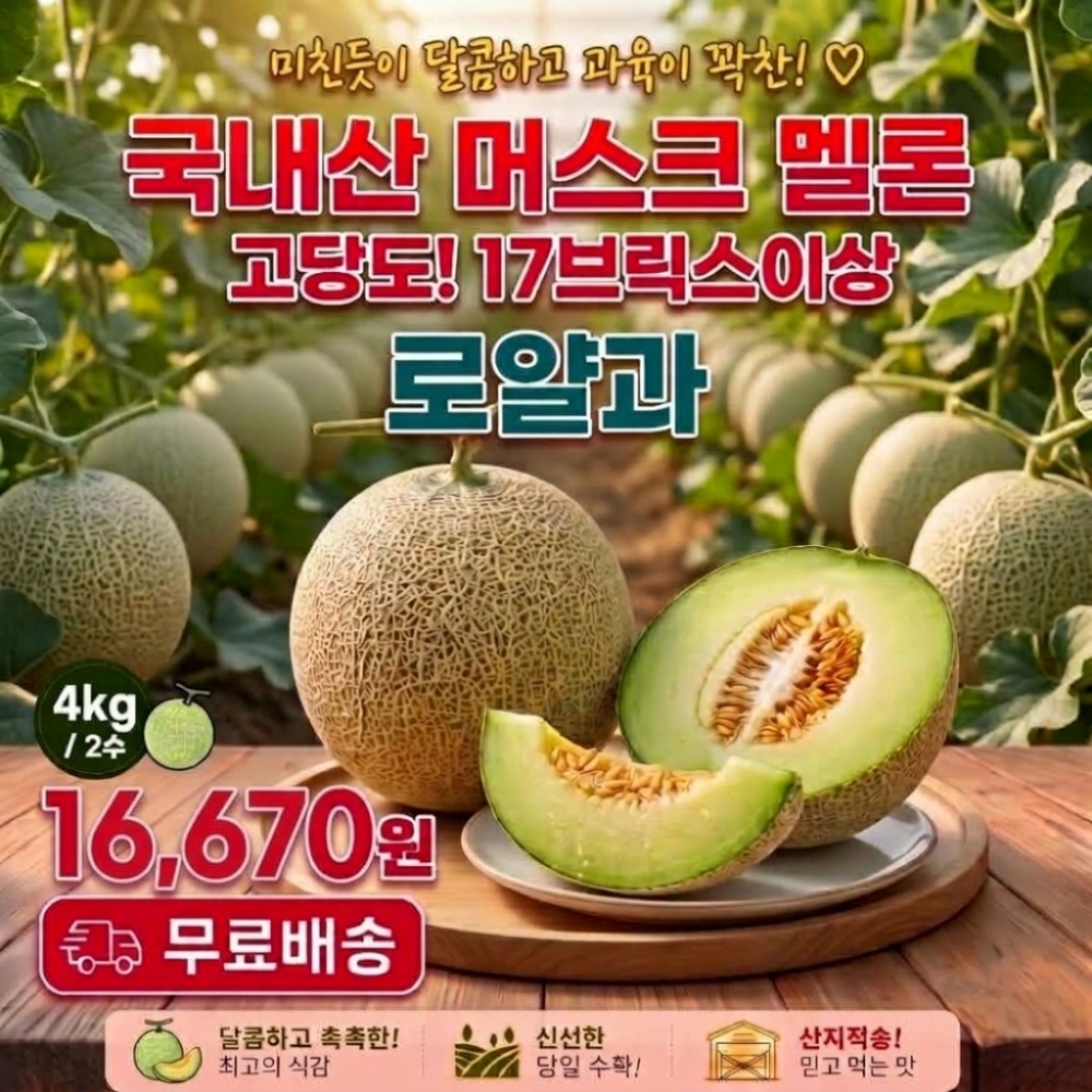 연유맛 꿀메론, 특품, 특대과, 4kg, 2수, 1박스 상세정보 1