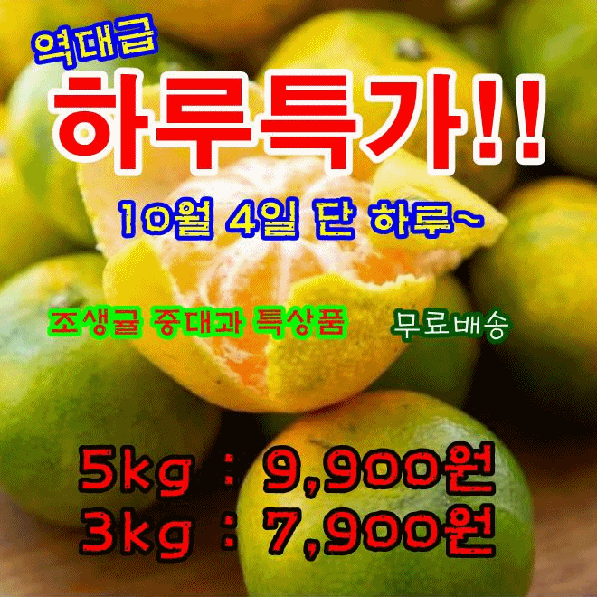 제주 노지 조생 감귤, 중대과, 10kg, 1박스 상세 이미지 2