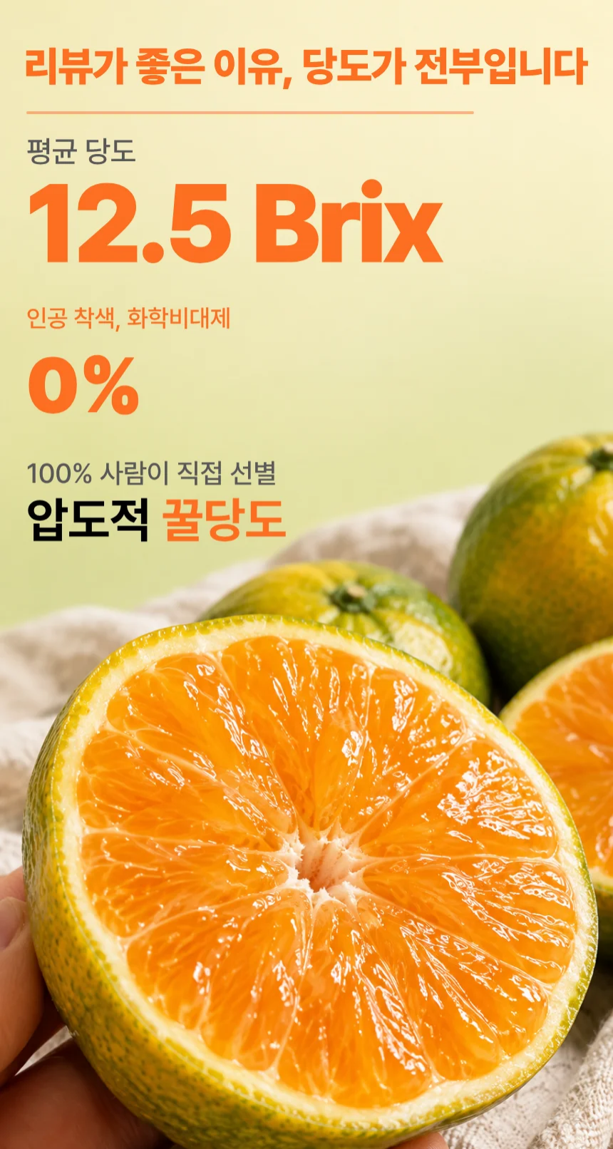 당도선별 제주 감귤, 12.5brix, 중과, 5kg, 1박스 상세 이미지 6