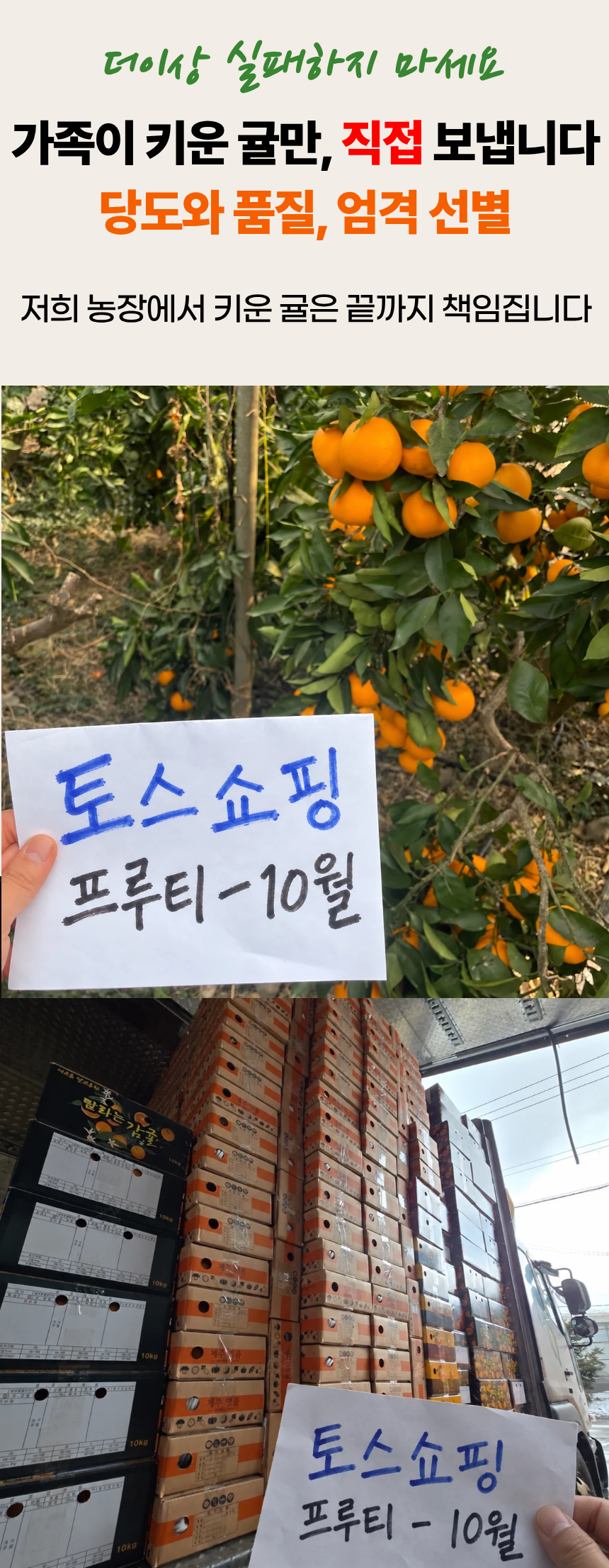 당도선별 제주 감귤, 12.5brix, 중과, 5kg, 1박스 상세 이미지 4
